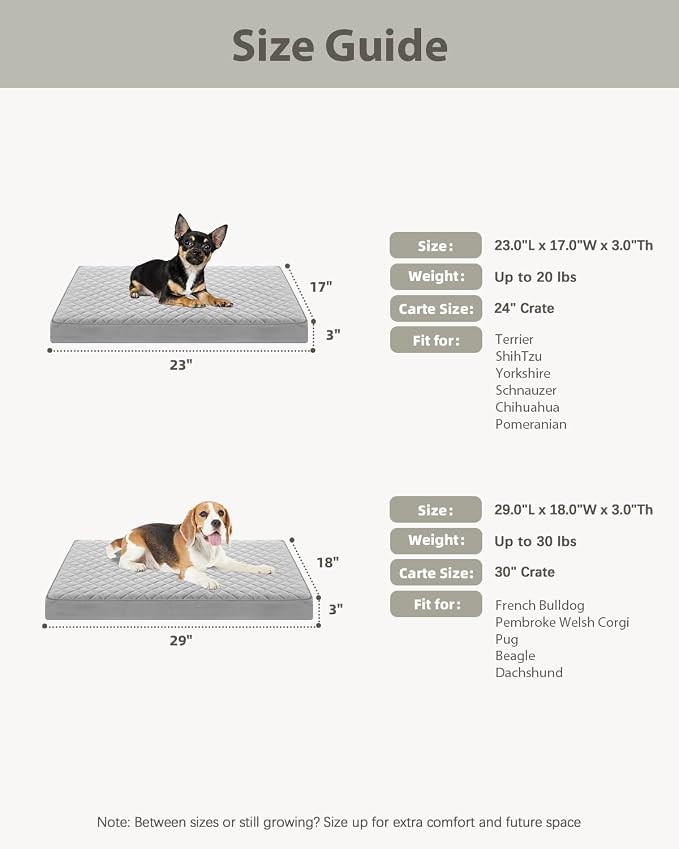 NUPIDA Orthopedic Small Dog Bed for Crate with Washable Cover, 23x17, Grey | Cat Puppy Kennel Pad, Egg-Crate Foam, Cozy Velvet Pet Mattress, TPU Waterproof Layer, Comfy Support, Non-Slip Bottom