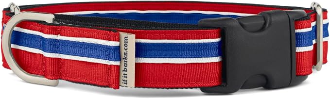 If It Barks 1" Martingale Collar with Quick Snap Release Buckle, Adjustable, USA Made, Small, Patriotic