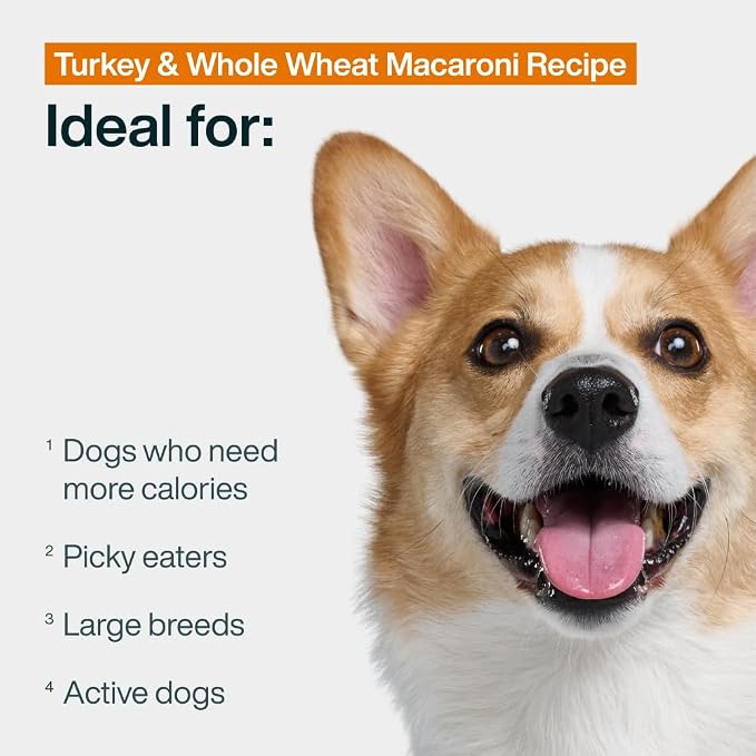 JustFoodForDogs Pantry Fresh Wet Dog Food Complete Meal or Dog Food Topper, Turkey & Whole Wheat Macaroni Human Grade Dog Food Recipe - 12.5 oz (Pack of 12) | Fresh Pet Meal or Fresh Dog Food Topper, Human Grade Recipe Made With Whole Foods, Preservati...