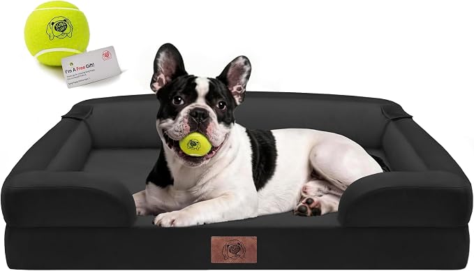 Waterproof Orthopedic Dog Bed for Medium Large Sized Dogs | Memory Foam Pet Bed Sofa with Bolster, Dog Couch with Washable Cover & Non-Slip Bottom, 30x20 Inch, Black