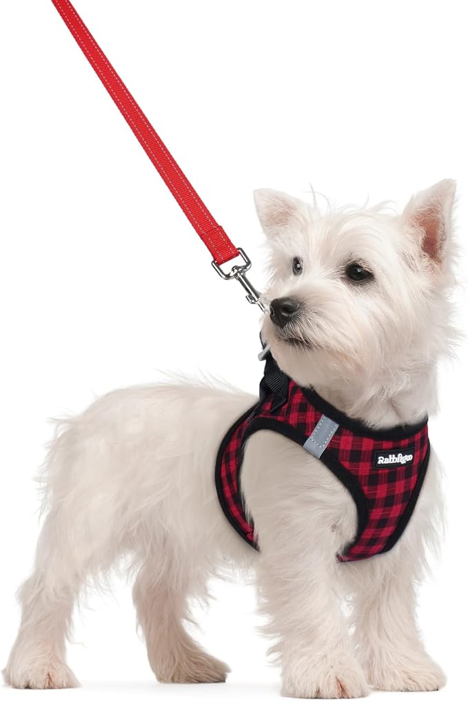 rabbitgoo Dog Harness Small Sized and Leash Set, Step-in Puppy Pet Vest | Light, Soft, Breathable Air Mesh, Easy on and Remove with Hook & Loop, Secure Reflective for Walking, Red Check S