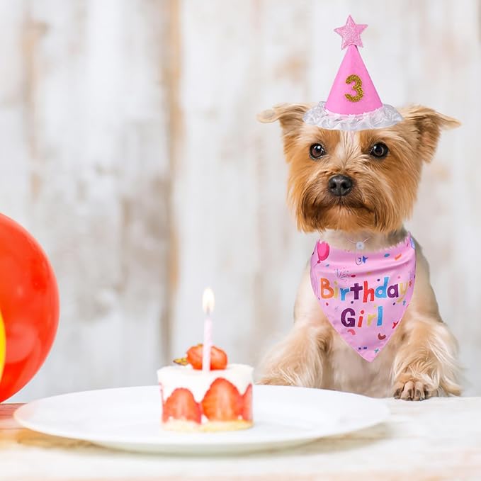 Dog Birthday Bandana Set, Dog Birthday Party Supplies | Puppy Boy Girl Birthday Party Hat with Numbers for X-Small, Small and Meidum Puppy (Pink)