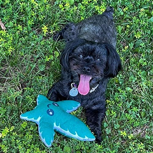 Wacky Leaf Dog Toy Funny Stuffed Plant Squeaker Chew Plush for Puppies