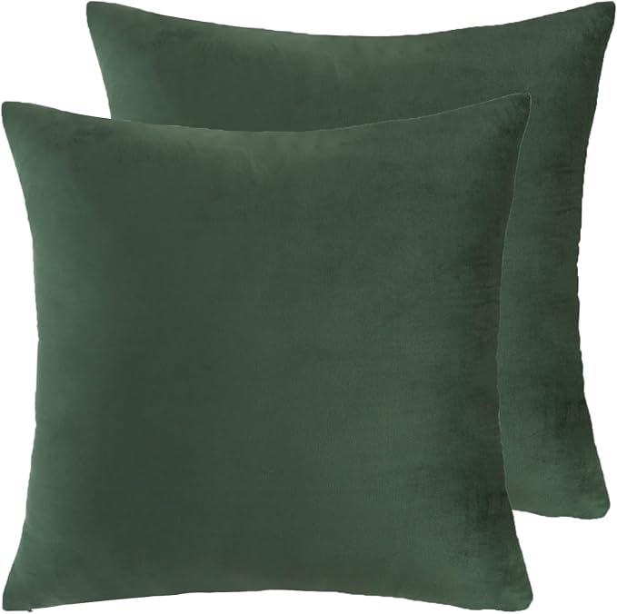 Velvet Decorative Throw Pillow Covers, Soft Square Cushion Case Home Decor for Living Room Couch Bed Sofa, Set of 2 Pack, Dark Green, 16x16 Inch
