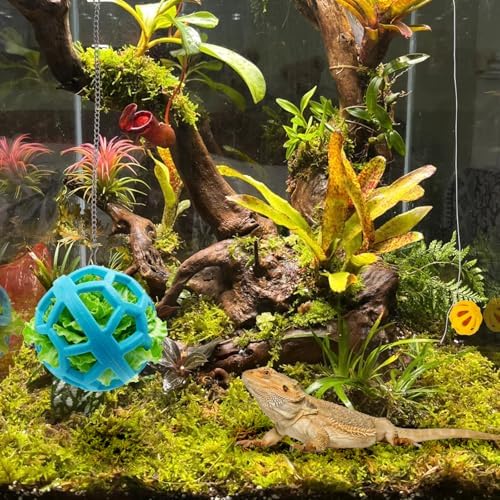 Bearded Dragon Enrichment Toys Feed Toys Bells Interactive Feeder and Exercise Ball for Lizards, Geckos & Small Reptiles Habitat Terrarium Tank
