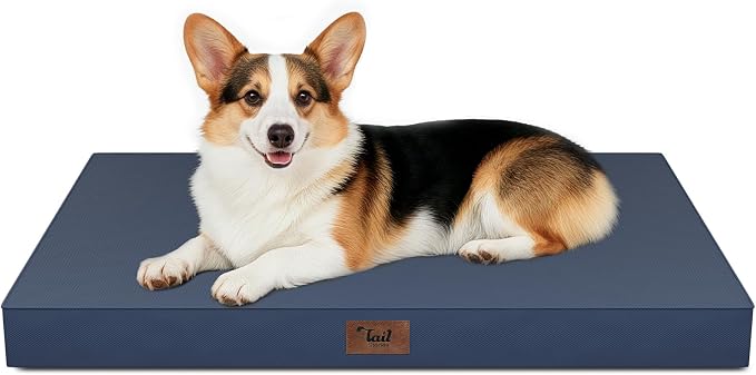 Outdoor Waterproof Orthopedic Dog Bed for Large Dogs | Egg Crate Foam for Joint Support, TPU Waterproof Layer, Machine Washable 1680D Oxford Cover, 36 x 27 Inch, Up to 65 lbs