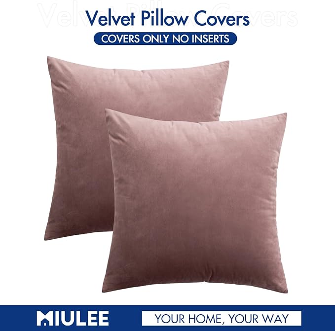 MIULEE Velvet Throw Pillow Covers 16x16 Inch Pack of 2 Jam | Soft Solid Small Decorative Pillow Covers, Modern Luxury Home Decor, for Couch Chair Sofa Bedroom Livingroom Car