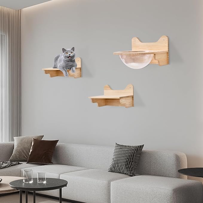 Space Capsule Style Transparent Cover Cat Bed, Wall Mounted Cats Shelf House, Small Pets Bed Toy Furniture for Living Room Pet Room, Load of 44 Lbs (Space Capsule+ 2 Jumping Platforms)