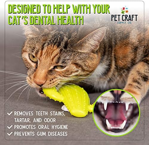 Pet Craft Supply Cactus Interactive Cat Toy Chew Toy Teeth Cleaning Bite Resistant 100% Natural Rubber with Bonus Catnip and Silvervine Bags for Kittens and Adult Cat