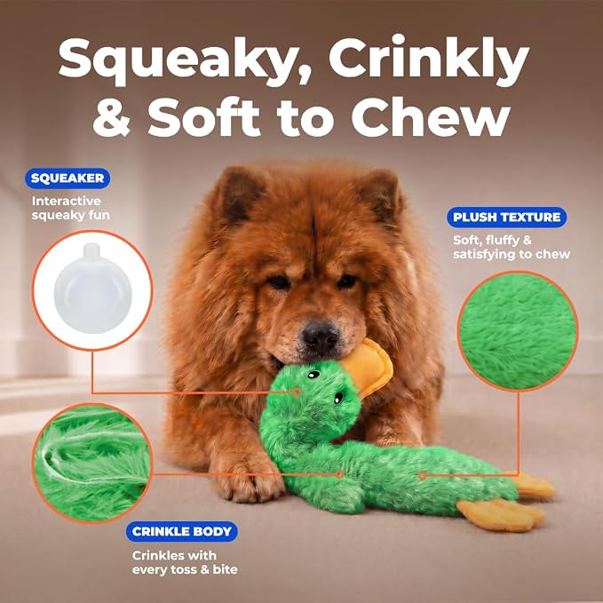 Best Pet Supplies Interactive Squeaky Dog Toy - Crinkle Duck, Green | Stuffing Free Body, Soft, Squeaks & Crinkles, No Mess, Perfect for Moderate Chewers, Toss and Fetch Play