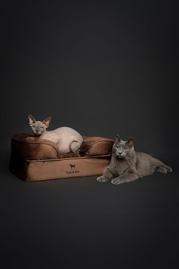 NOAH & PAW Small Dog Bed, 20x15x8 Inch, Cat Bed for Indoor Cats, Orthopedic Eggshell Memory Foam Infused with Cooling Gel, Water Resistant Inner Cover Machine Washable (Velvet Collection)