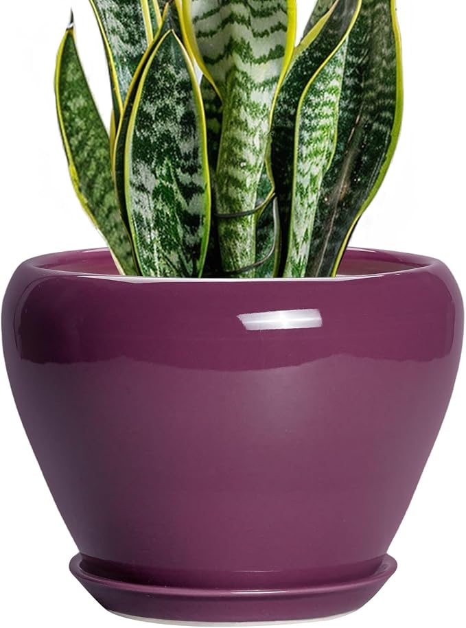 Ceramicfor Ceramic Planter - 8 Inch Plant Pot Indoor with Drainage Hole and Saucer, Glaze Decorative Planter, Round Flower Pot, Plant Lover Gifts, Home Garden Office Decor, Purple