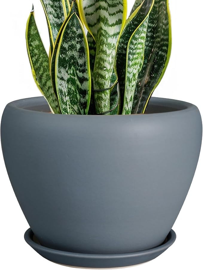 Ceramicfor Ceramic Pot for Plants - 8 Inch Plant Pot Indoor with Drainage Hole and Saucer Decorative Planter for Outdoor Plants Modern Flower Pot for Home Decor Garden Gray