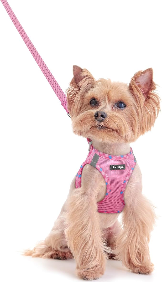 rabbitgoo Dog Harness Small Sized and Leash Set, Step-in Puppy Pet Vest | Light, Soft, Breathable Air Mesh, Easy on and Remove with Hook & Loop, Secure Reflective for Walking, Pink & Plaid Trim XXS