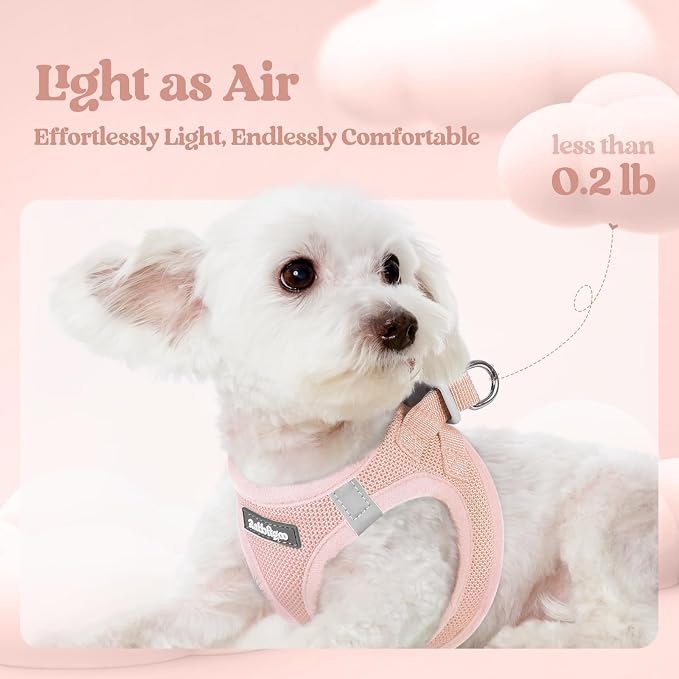 rabbitgoo Dog Harness Medium Sized and Leash Set, Step-in Puppy Pet Vest | Light, Soft, Breathable Air Mesh, Easy on and Remove with Hook & Loop, Secure Reflective for Walking, Pink L