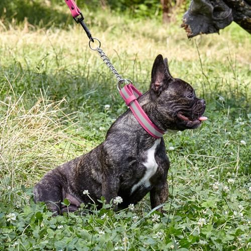 Dogline Reflective Martingale Collar for Dogs with Quick Release Buckle – Biothane Dog Collar with Herm Sprenger Assembly Chain – Waterproof No Pull Dog Collar, L 20”-26”, Passionfruit Pink