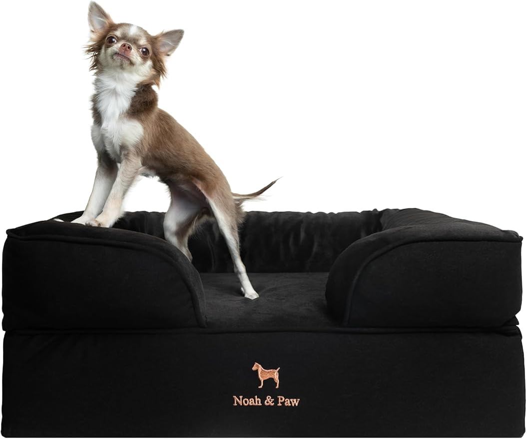 NOAH & PAW Dog Bed, 28x23x11 Inch, Orthopedic Dog Beds for Medium Size Pets, Eggshell Memory Foam Infused with Cooling Gel, Inner Cover, Water Resistant, Machine Washable (Denim Sofa Collection)