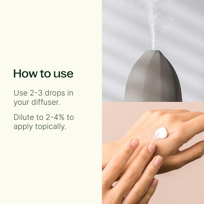 Plant Therapy Eucalyptus Radiata Essential Oil 10 mL (1/3 oz), 100% Pure, Undiluted, for Aromatherapy, Respiratory Support & Focus