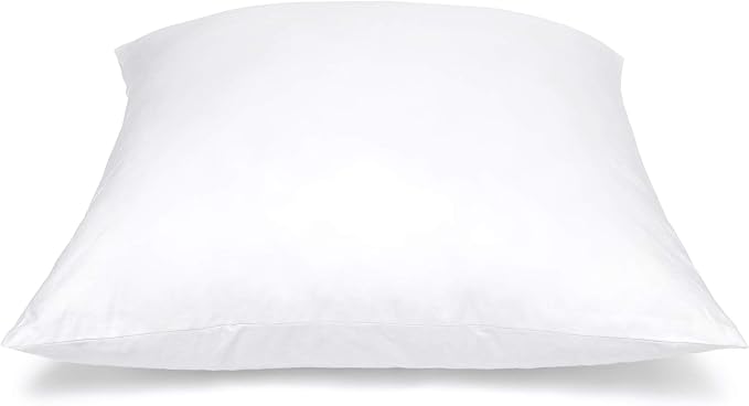 Pillow Inserts - Pack of 2-20" x 20" Square Decorative Throw or Sham for Couch - Bed - Sofa