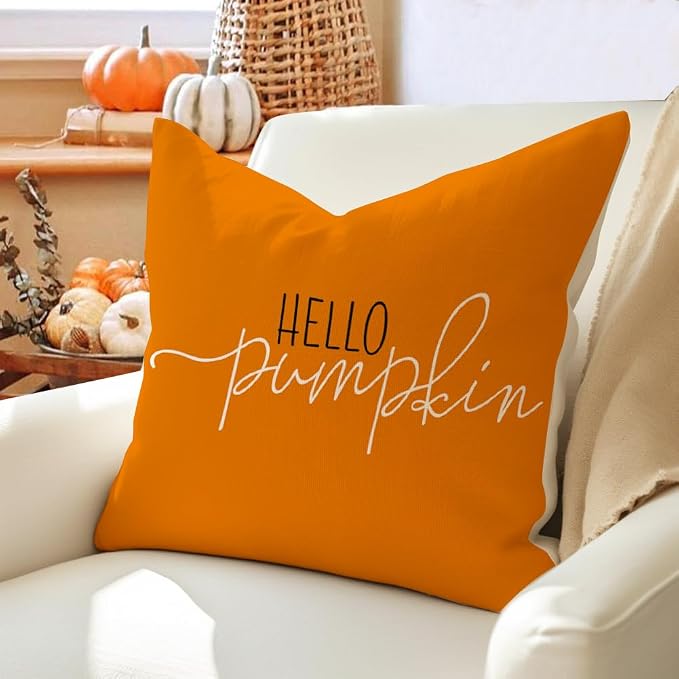 RABUSOFA Fall Pillow Covers 20x20 Inch,Autumn Hello Pumpkin Pillows Decorative Throw Pillows,Outdoor Thanksgiving Cushion Cover Farmhosue Fall Decor for Bedroom Couch Sofa