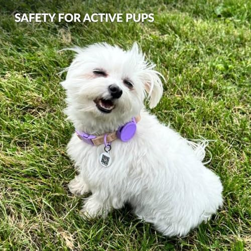 CollarDirect Airtag Nylon Dog Collar Silicon Holder Designed for Apple Airtag with QR Tags Personalized Dogs Puppies 5 Colors Black Pink Violet Green Orange (Green, L)