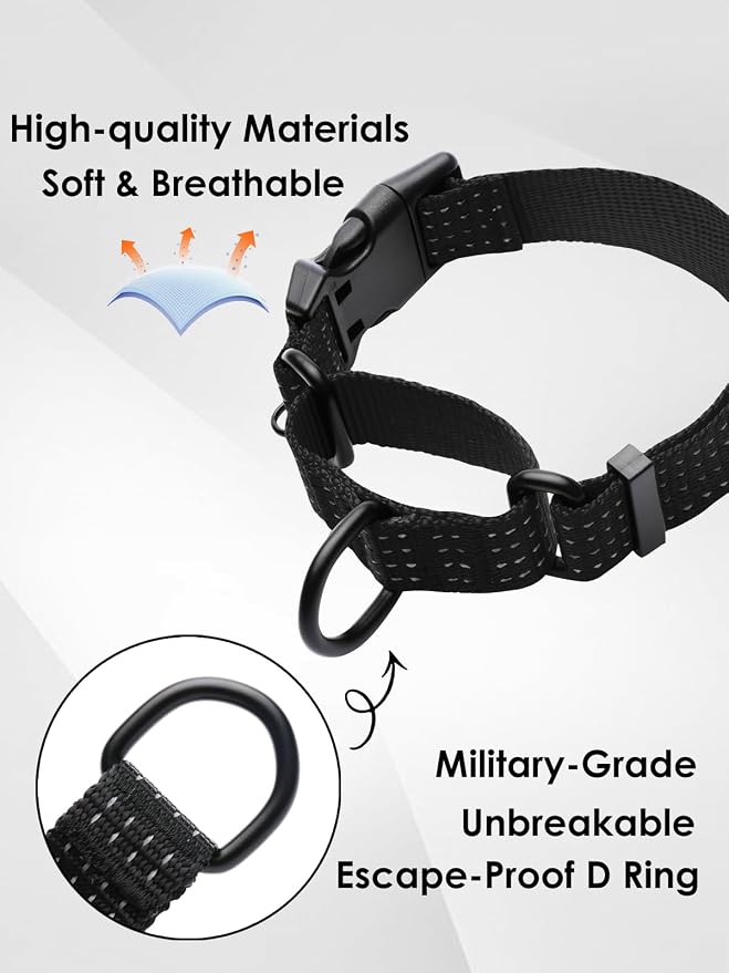 Martingale Dog Collar, Reflective No Pull with Buckle, Black, M