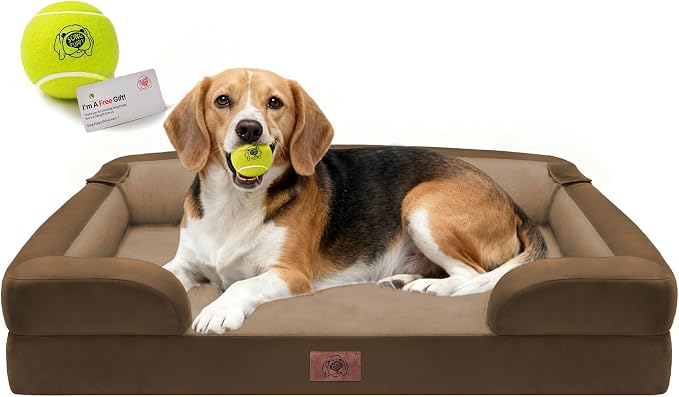 Waterproof Orthopedic Dog Bed for Medium Large Sized Dogs | Memory Foam Pet Bed Sofa with Bolster, Dog Couch with Washable Cover & Non-Slip Bottom, 36x27 Inch, Dark Brown