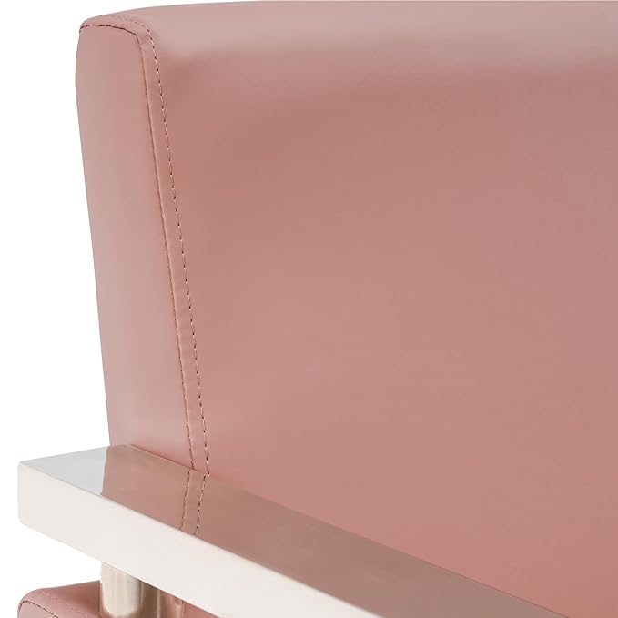 BarberPub Classic Hydraulic Barber Chair Styling Salon Chair for Hair Stylist Beauty Spa Equipment 8808 (Pink)
