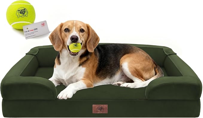 Waterproof Orthopedic Dog Bed for Medium Large Sized Dogs | Memory Foam Pet Bed Sofa with Bolster, Dog Couch with Washable Cover & Non-Slip Bottom, 36x27 Inch, Oliva Green