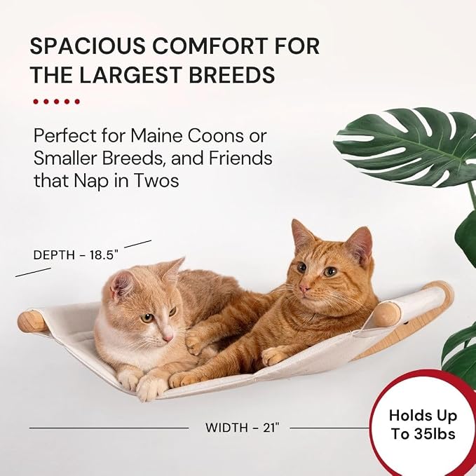7 Ruby Road Cat Wall Hammock for Large Cats, Cat Wall Bed | A space-saving wall mounted cat bed with a washable, replaceable cushion that holds big cats up to 35 lbs