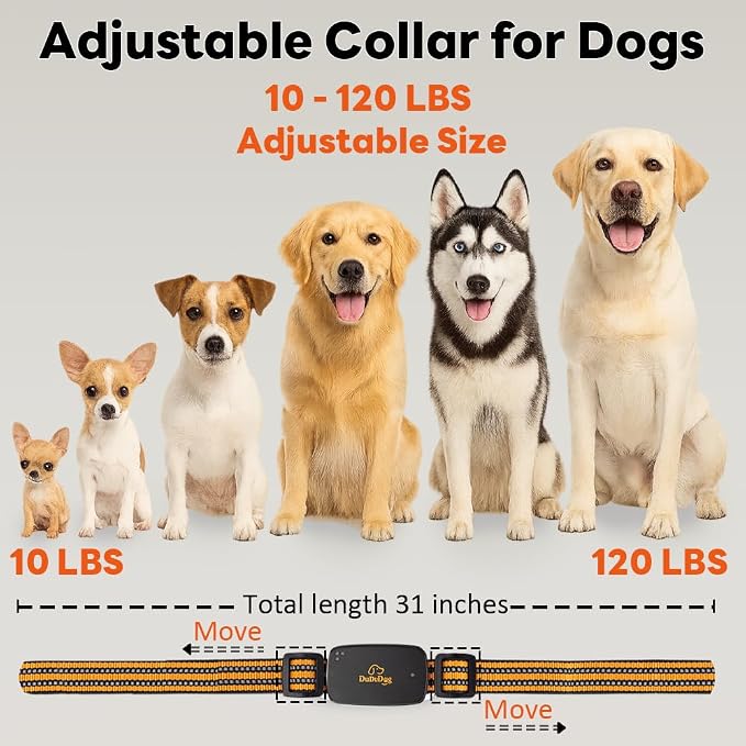 DuDuDog Training Shock Collars with 9.8FT Retractable Leash – 3200FT Remote E-Collar for Small & Large Dogs, Color Screen Display, Beep Vibration Static, IP67 Waterproof, USB-C Rechargeable
