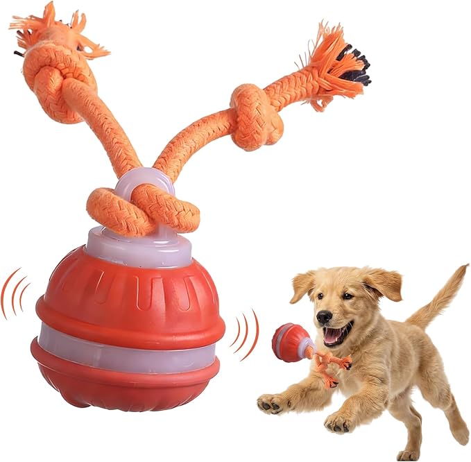 Zealburst Interactive Pet Toy, 360° Auto Rolling Moving Toy for Dogs and Cats, Alleviate Boredom (Orange)