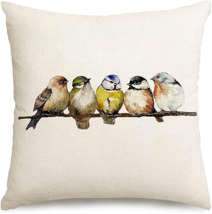RABUSOFA Watercolor Birds Pillows Decorative Throw Pillows 18x18,Hand-Painted Oil Painting Rustic Birds Square Pillow Cases,Cute Colorful Spring Summer Decorations for Home Couch Sofa Outdoor