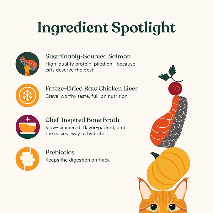 Made by Nacho Dry Cat Kibble 10lb Bag, High Protein Premium Cat Food with Freeze Dried Pieces, Sustainably-Caught Salmon, Whitefish & Pumpkin, Limited Ingredients, Single Bag | Protein-forward dry cat food with premium ingredients and craveable texture...