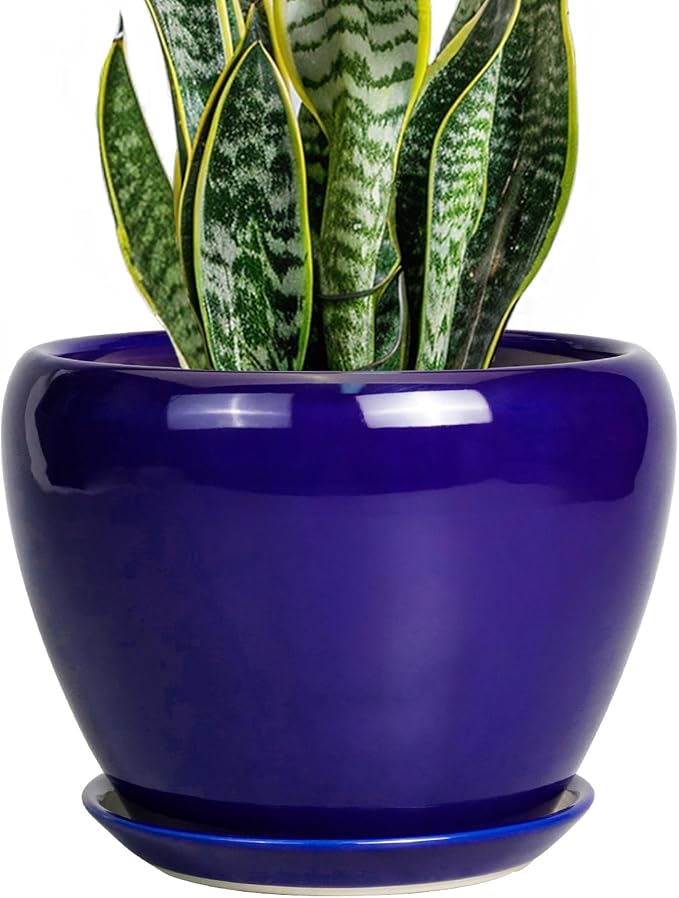 Ceramicfor Ceramic Plant Pot 8 Inch - Planter for Outdoor Plants Indoor Plant Pot with Drainage Hole and Saucer Decorative Round Planter Modern Flower Pot for House Decor Blue