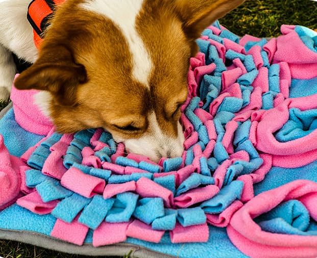 Vedem Small Animal Snuffle Mat Fleece Foraging Mats Interactive Feeding Toy Rabbit Guinea Pig Rat Hamster Anti Slip Treat Dispenser (Blue/Pink)