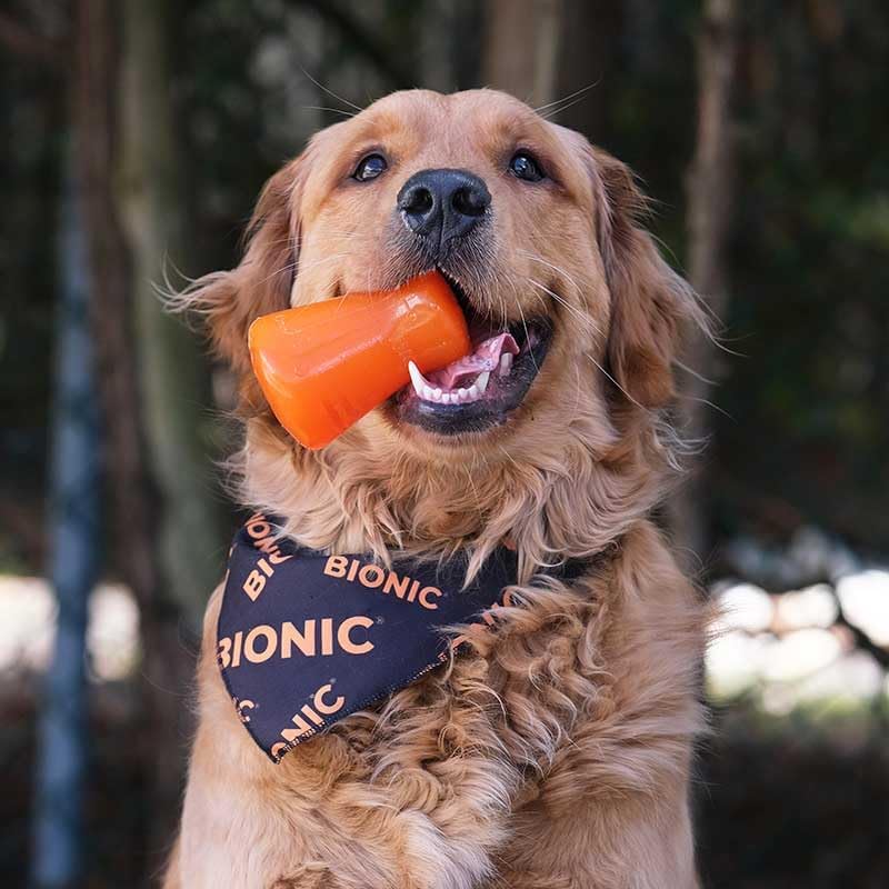 BIONIC Treat Shaker Dog Toy for Dogs Up to 20 lbs, Small