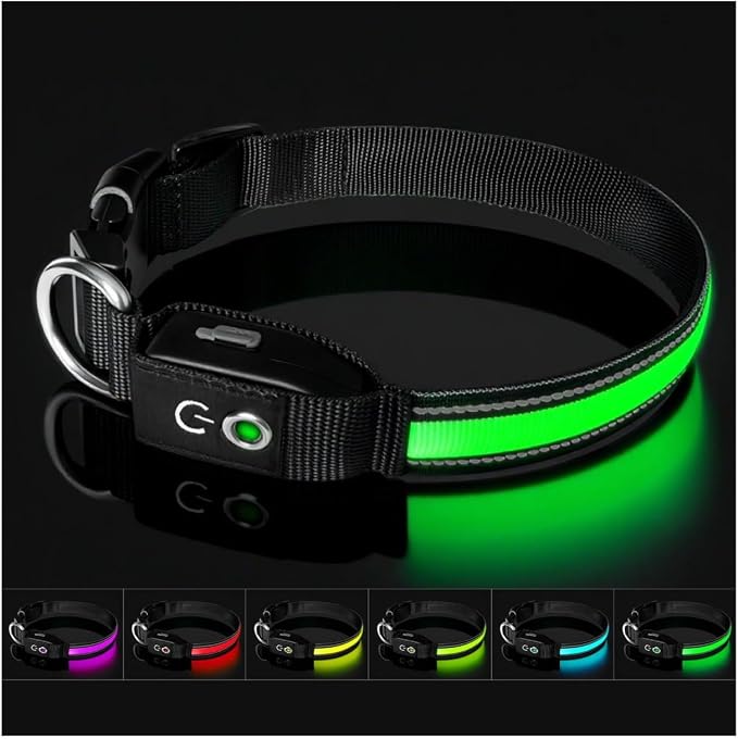 Auto Light Up Dog Collar - Smart Safety Night Collar with Motion Sensor - Auto-On in Dark - USB-C Rechargeable - 3 Day Runtime- IP65 Waterproof (S 11-15")