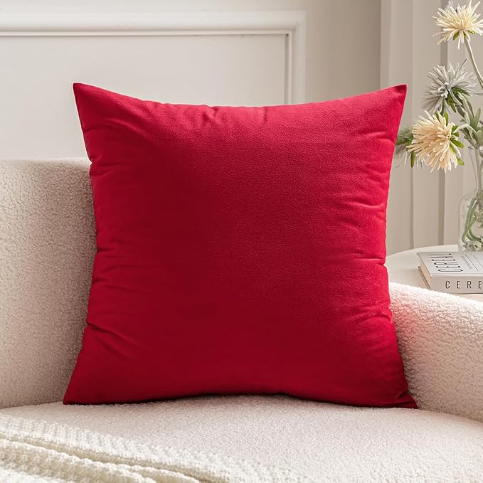 MIULEE 24x24 Inch Euro Velvet Throw Pillow Cover Set of 1 Red | Soft Luxury Decorative Throw Pillow Cover, Single Cushion Case, Home Decor for Chair Couch Sofa Bedroom Car Bed