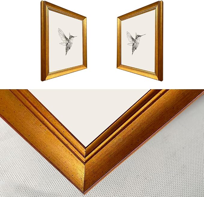 Hummingbird Sketch Wall Art Vintage Gold Framed Artworks for Wall Bird Nursery Canvas Print Neutral Minimalist Picture Painting Bedroom Living Room Decor