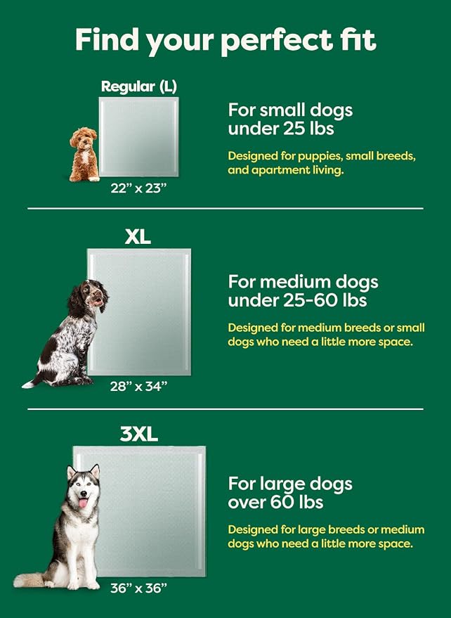 Earth Rated 40 Puppy Pads, Max Absorbency Pee Pads for Dogs, XL | Max Absorbency,Absorbs 2X Faster & 2X More, Leak Prevention, Potty Training, Fragrance-Free, Unscented