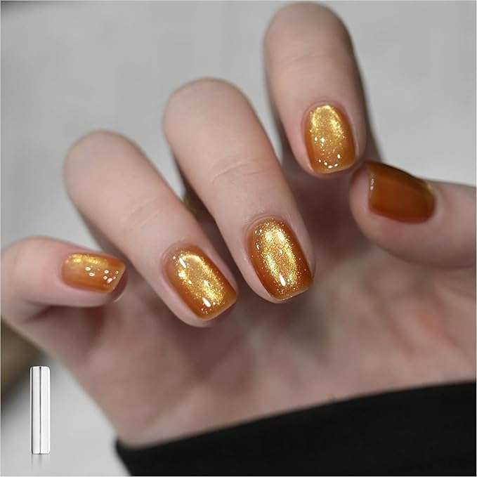 GAOY Jelly Golden Cat Eye Gel Nail Polish, 16ml Glitter Holographic Nail Polish with Magnet, Reflective Translucent UV Gel, 2955 Gilded Shine