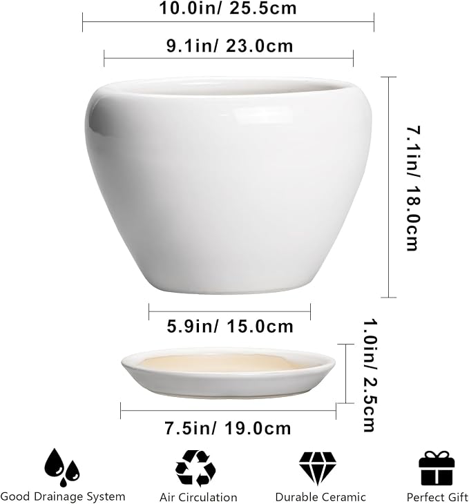 Ceramicfor Ceramic Pot for Plants - 10 Inch Planter with Drainage Hole and Saucer, Glaze Modern Round Flower Pot for Indoor Plants, Housewarming Gift, Home Decor, White