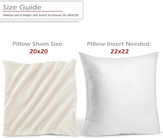Throw Pillow Inserts Pack of 2 with Velvet Soft Solid Decorative Square Throw Pillow Covers Set for Sofa Couch Car Bedroom, 22X22 Throw Pillows Inserts with 20x20 Washable Cushion Covers, Off White