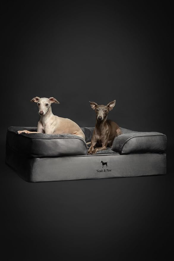 NOAH & PAW Large Dog Bed, 35x25x11 Inch, Orthopedic Dog Beds, Eggshell Memory Foam Infused with Cooling Gel, Inner Cover, Water Resistant, Machine Washable (Velvet Sofa Collection)