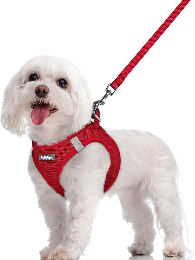 rabbitgoo Dog Harness Small Sized and Leash Set, Step-in Puppy Pet Vest | Light, Soft, Breathable Air Mesh, Easy on and Remove with Hook & Loop, Secure Reflective for Walking, Red M