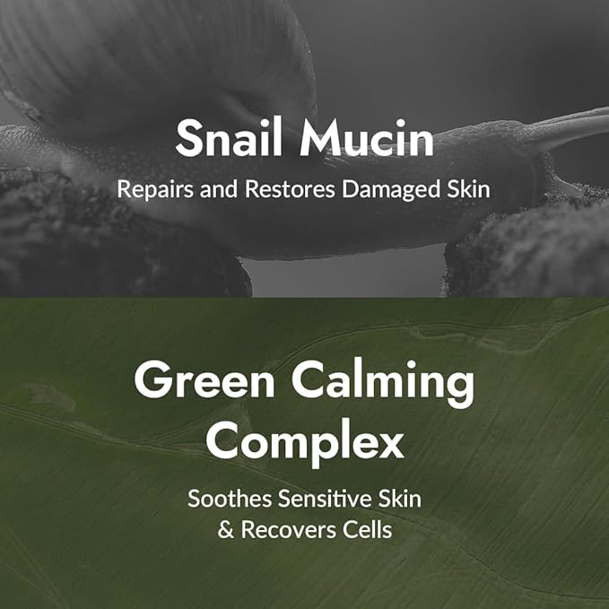 MIZON All-in-One Snail Repair Cream – Korean Face Moisturizer with Snail Mucin & 12 Natural Extracts – Hydrating Nourishing Cream for Fine Lines, Wrinkles & Blemish Care (2.53 Fl Oz, Pack of 2)