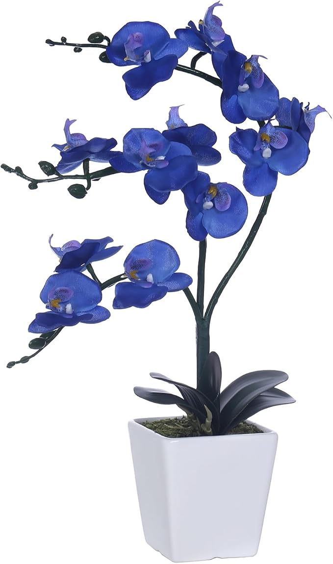 15" Silk Phalaenopsis Orchid in Square Pot, Navy Blue Flower Arrangements | Lifelike Faux Potted Blooms with Moss in a Ceramic Planter. Looks Real, Zero Upkeep, Ideal Centerpiece for Any Table
