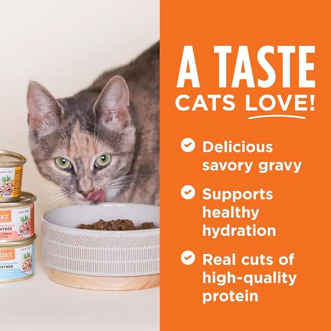 Instinct Flaked Entrees, Wet Canned Cat Food, Rabbit, 5.5 oz. (12 Count) | Tender flaked cuts in savory gravy, high protein, real rabbit, whole-food ingredients, grain-free, hydration support