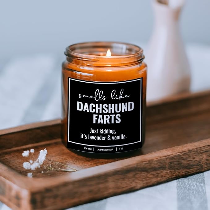 You Nique Designs, Dachshund Candle, 4 Oz, Dachshund Gifts for Women, Weiner Dog Gifts, Daschund, Wiener Dog, Daushaund, Dashound, All Natural Soy Vegan Aromatherapy Candles (Lavender&VanillaA 4oz)